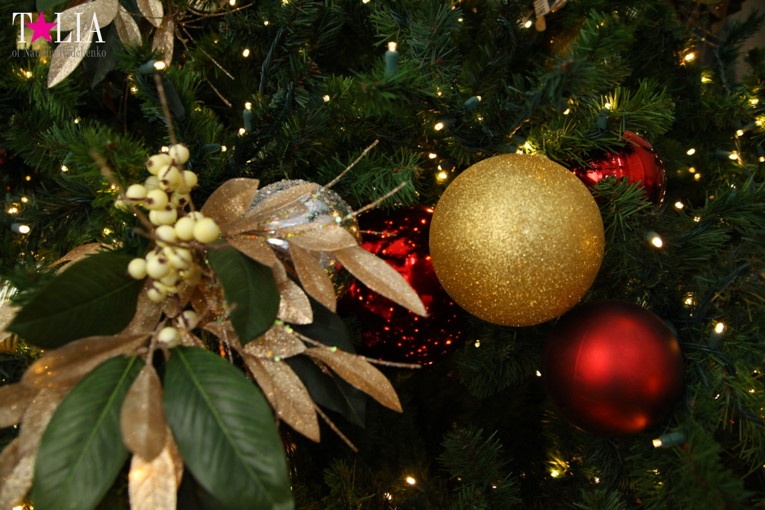 Happy Christmas and New Year 2017 from Talia24.com!